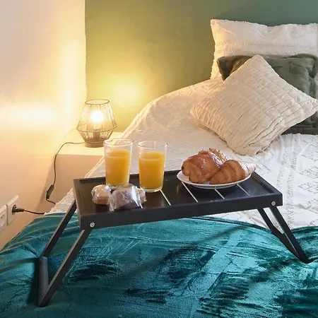 Le Nid Du Bouffay, Hyper Centre De Appartement Nantes