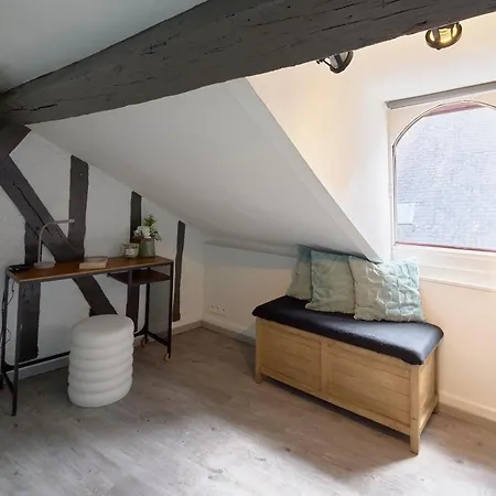 Le Nid Du Bouffay, Hyper Centre De Lejlighed